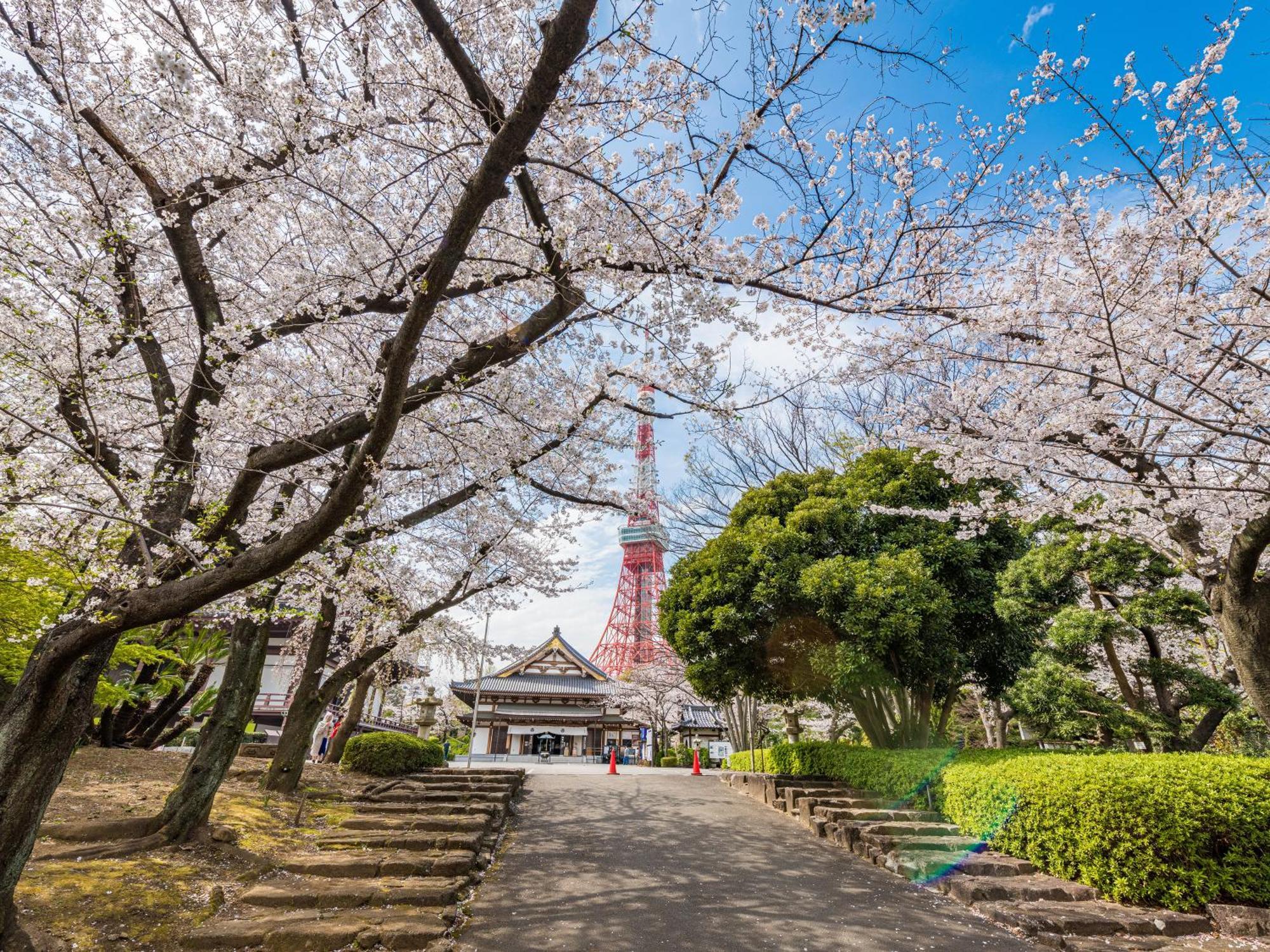 Illi Rom Hamamatsucho Hotel Tokio Exterior foto